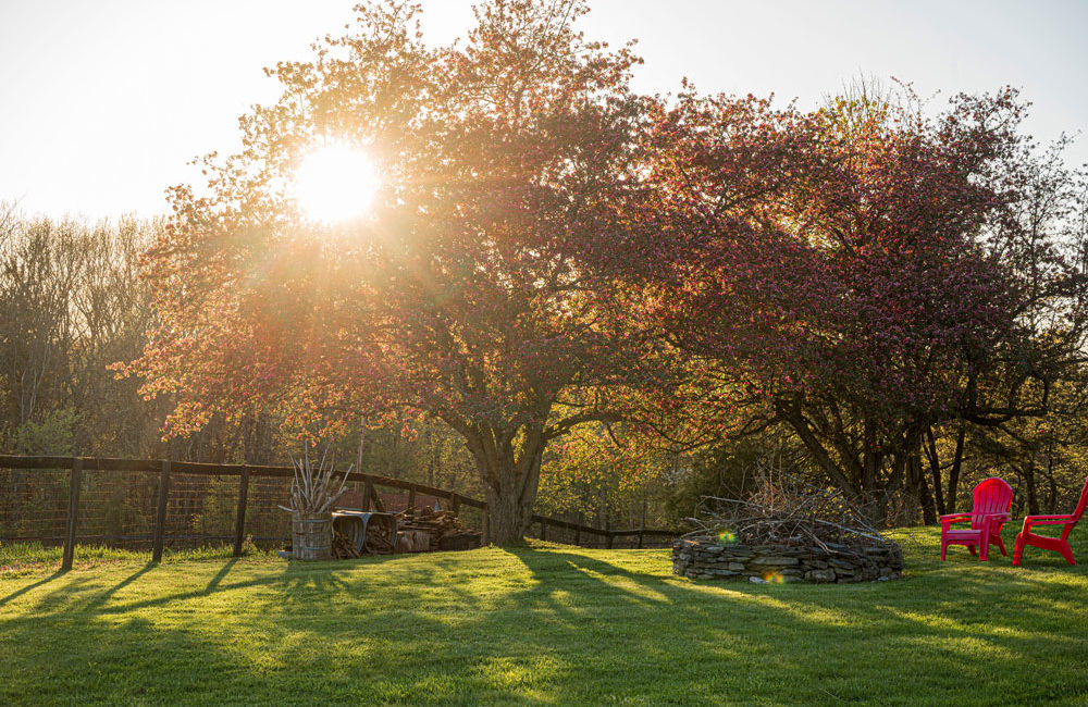 The Airbnb Hangover and the Return of True Hospitality: A Stay at WhistleWood Farm in Rhinebeck The Airbnb Hangover and the Return of True Hospitality: A Stay at WhistleWood Farm in Rhinebeck